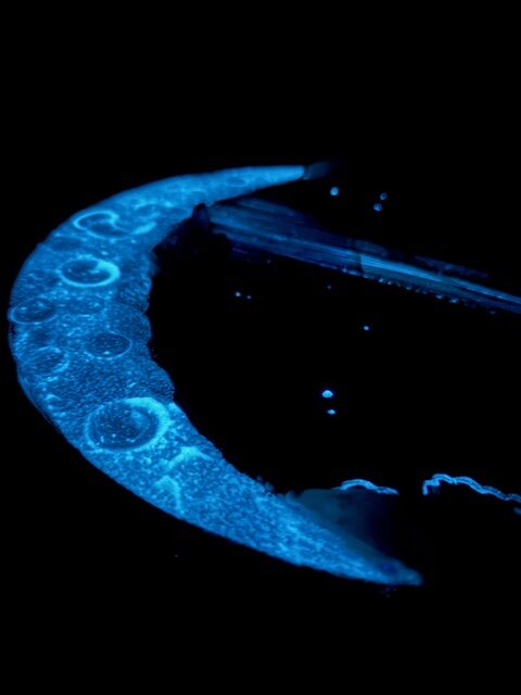 Velmi silný, ochranný a podporující obraz s ametysty | Ve svitu pravdy | 30 cm svítí ve tmě - Obrázek 8