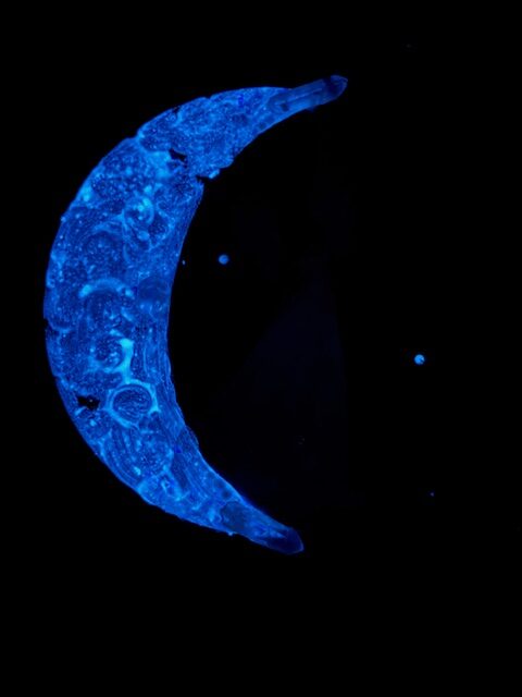 Andělský ochranný a svítící, úplňkový obraz s křišťálem | Osvícení stínů | 20cm 3 - Obrázek 3