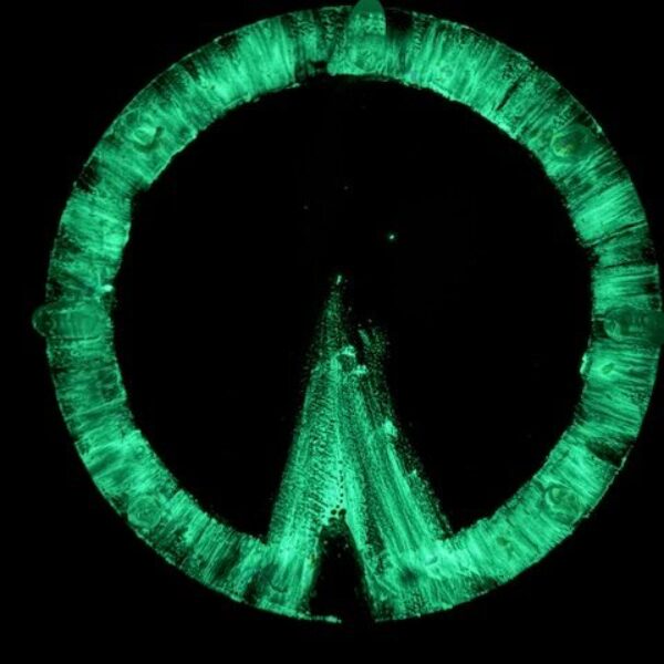 Andělský, velmi silný a ochranný obraz v energiích novoluní s ametystem a křišťály | Světlo, které nikdy nezmizelo 2 | 30 cm Svítí ve tmě